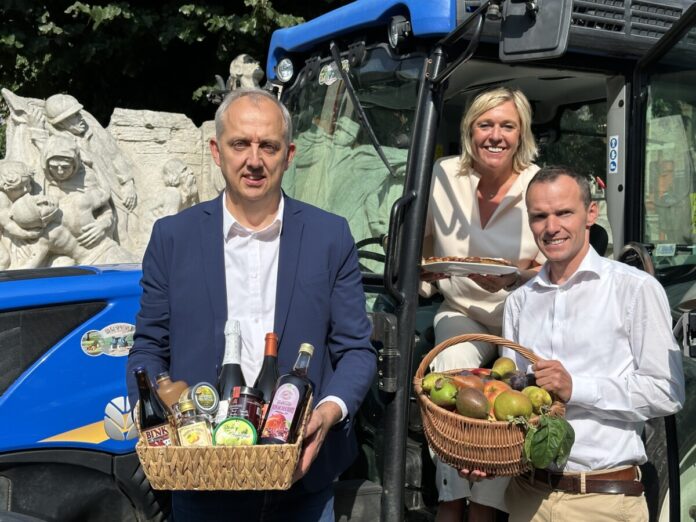 sint truiden - sintruin begot - fruitfest - stadsfestival - festival -haspengouw culinair- haspengouw smaakt