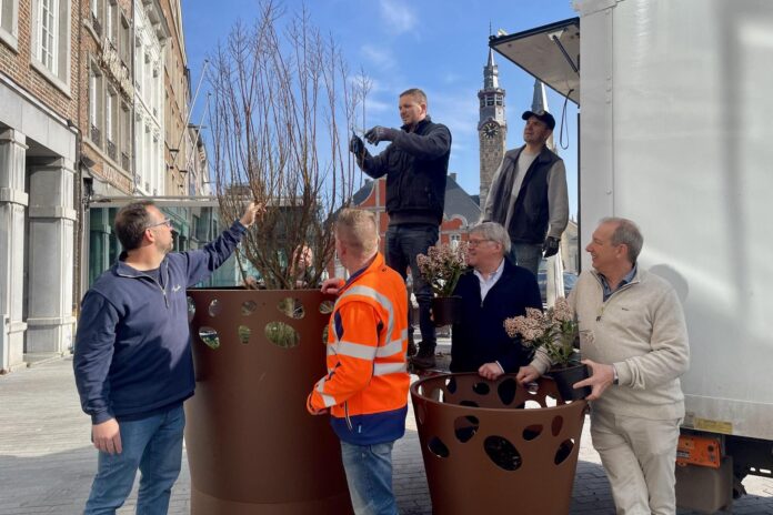 grote markt - bomen- bloempotten